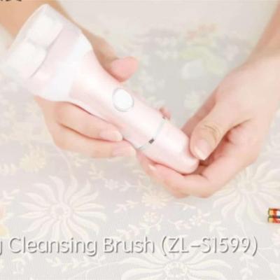 Dual head Multi-Function Beauty Equipment Type and CE,ROHS Certification facial cleansing brush