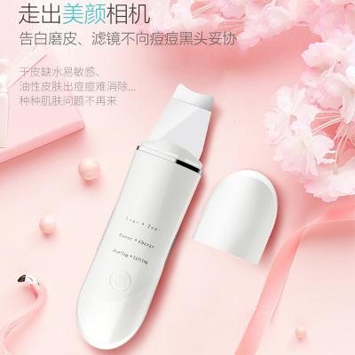 C-105 Promote Skin Absorption Dispel Cutin Deep Cleansing Wireless Skin Scrubber Skin Scrubber With Nano Sprayer